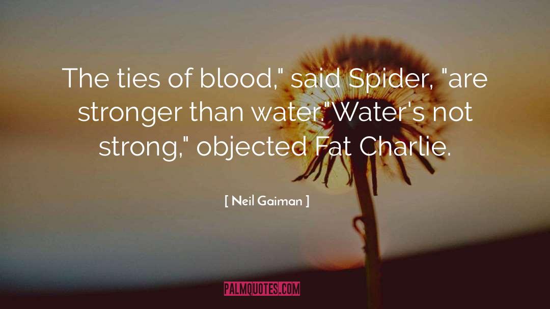 Fat Charlie quotes by Neil Gaiman