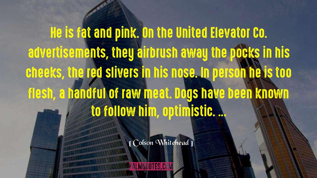 Fat Chicks quotes by Colson Whitehead