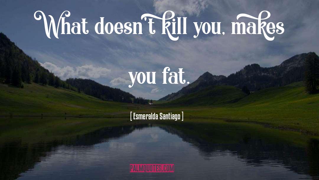 Fat Heart quotes by Esmeralda Santiago