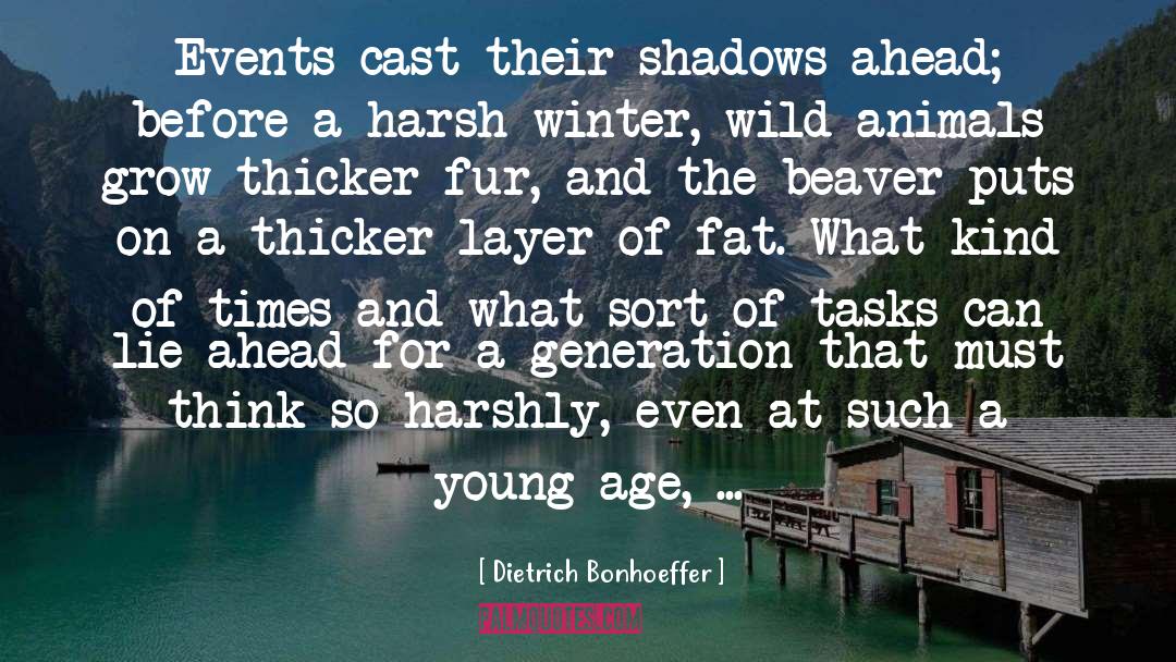 Fat quotes by Dietrich Bonhoeffer