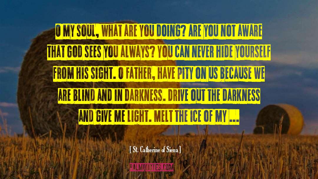 Father Hobbe quotes by St. Catherine Of Siena