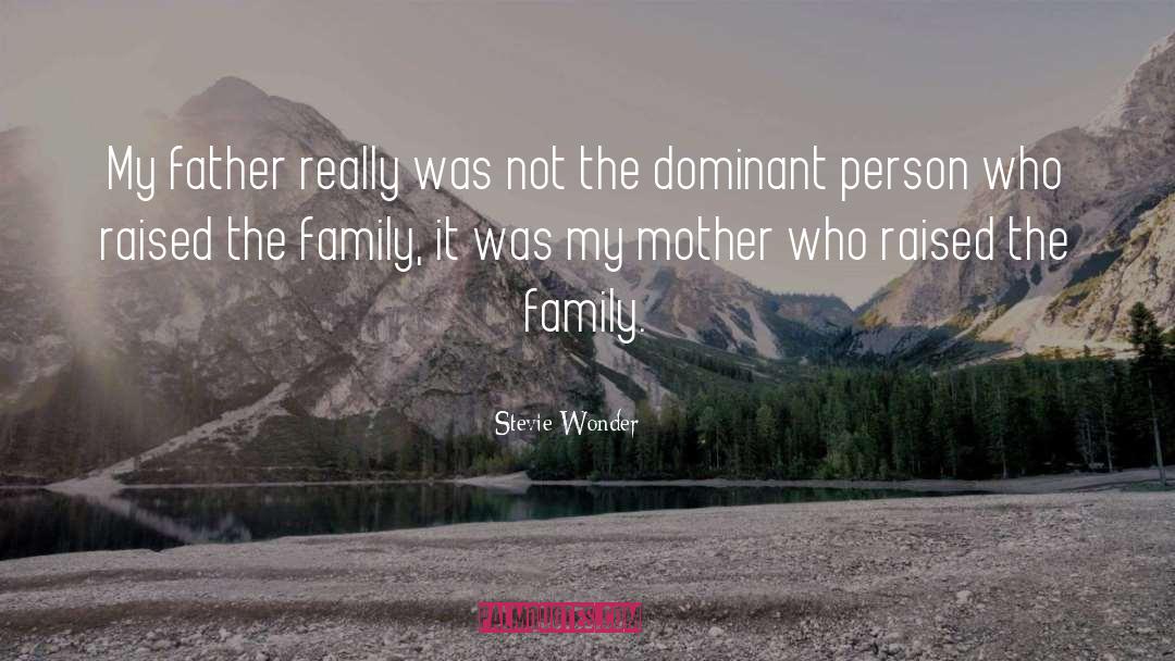 Father Mother quotes by Stevie Wonder