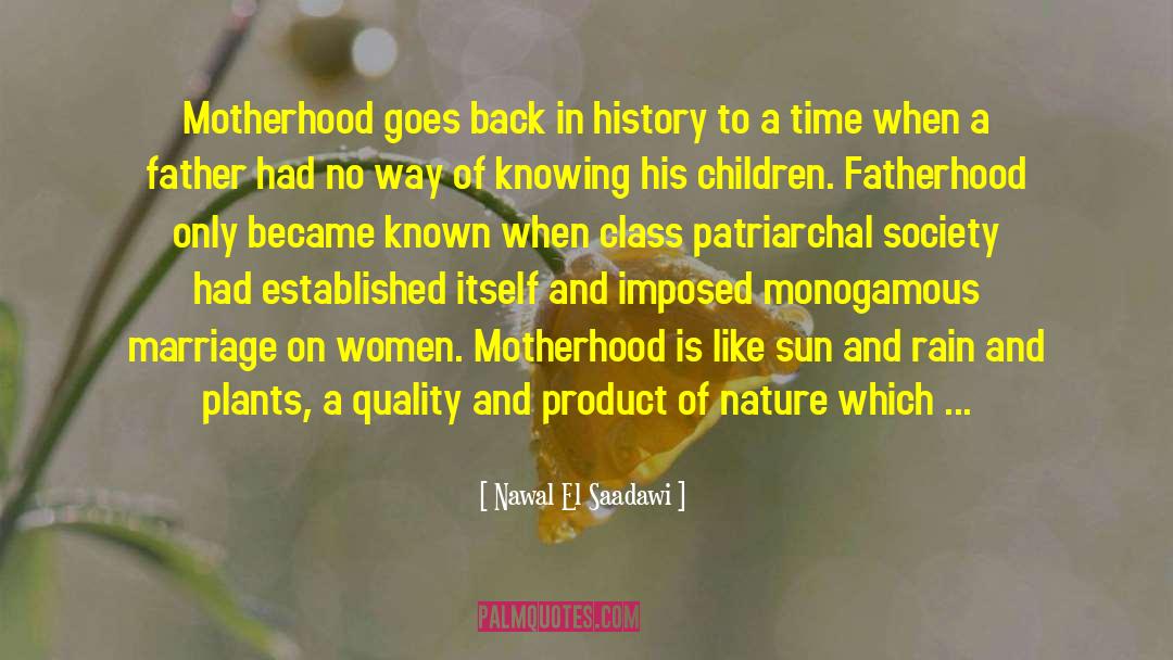 Fatherhood quotes by Nawal El Saadawi