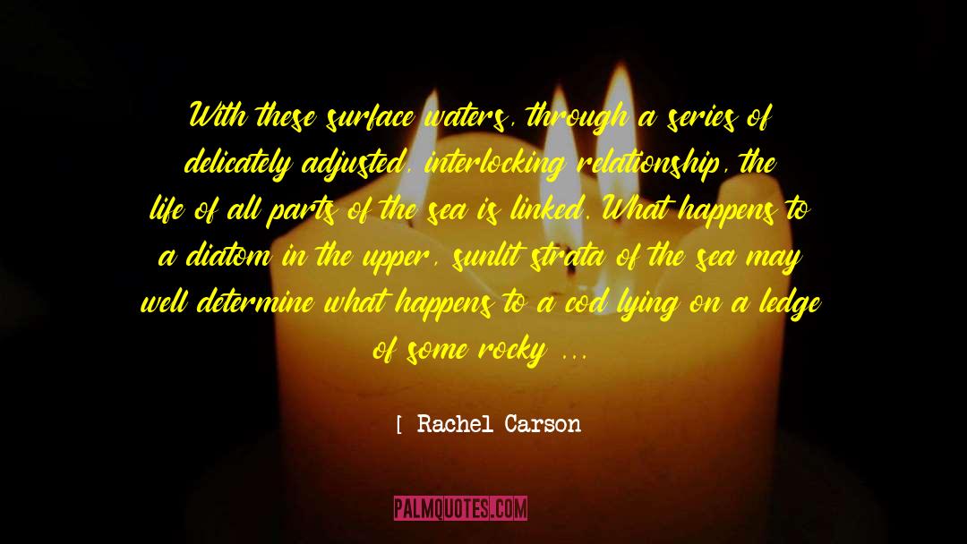 Fathoms quotes by Rachel Carson