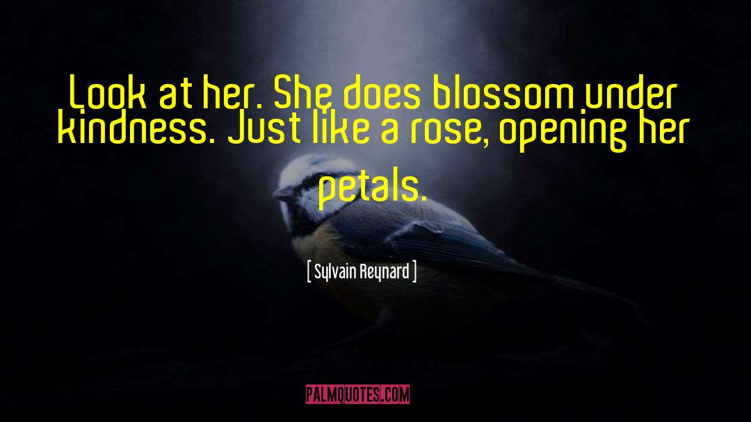 Faudot Sylvain quotes by Sylvain Reynard