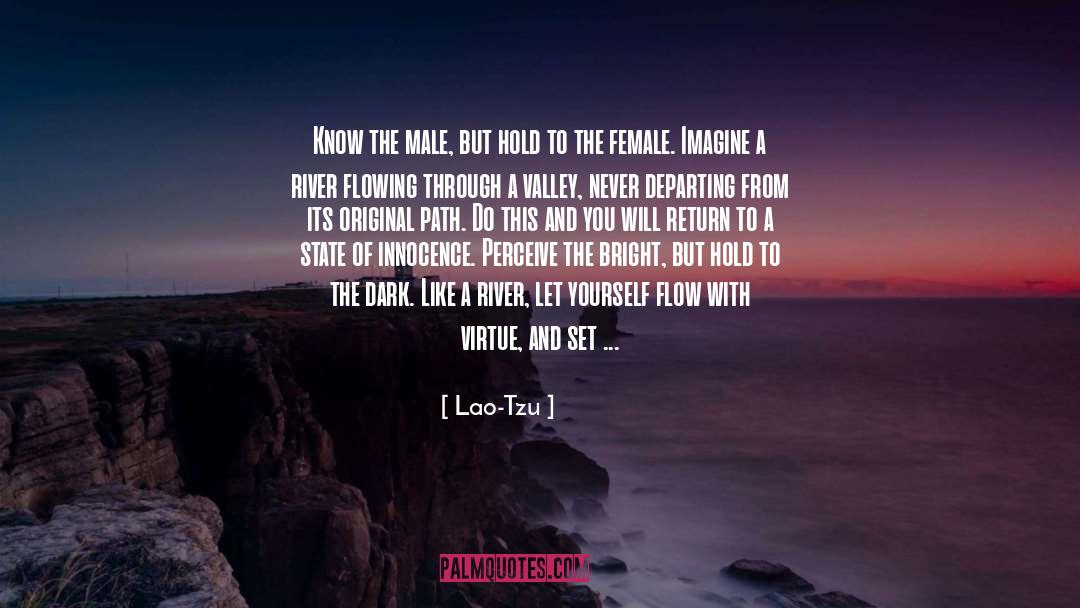 Faultless quotes by Lao-Tzu