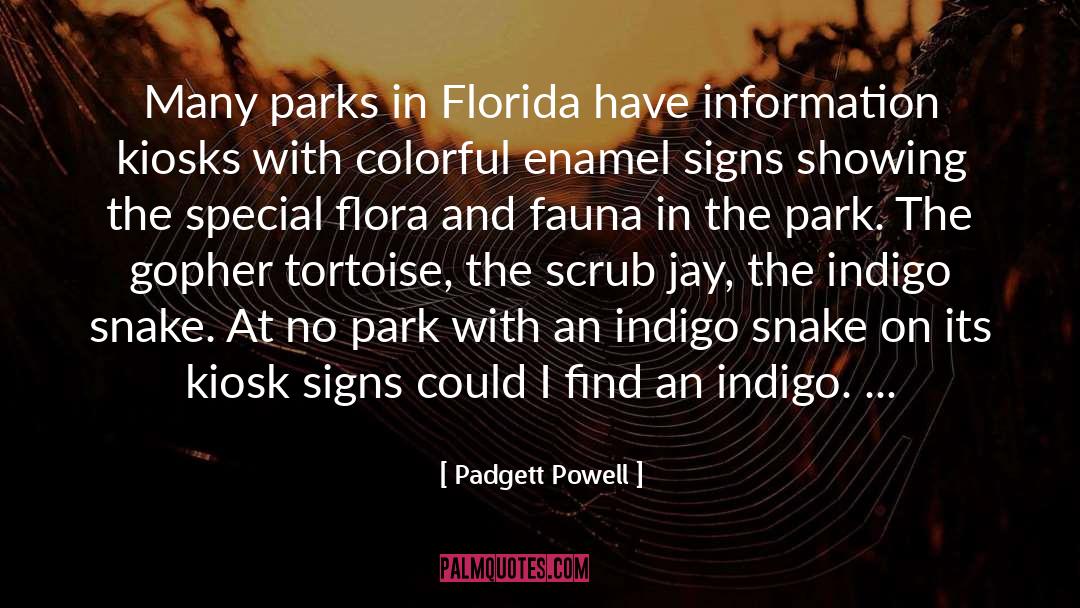 Fauna quotes by Padgett Powell