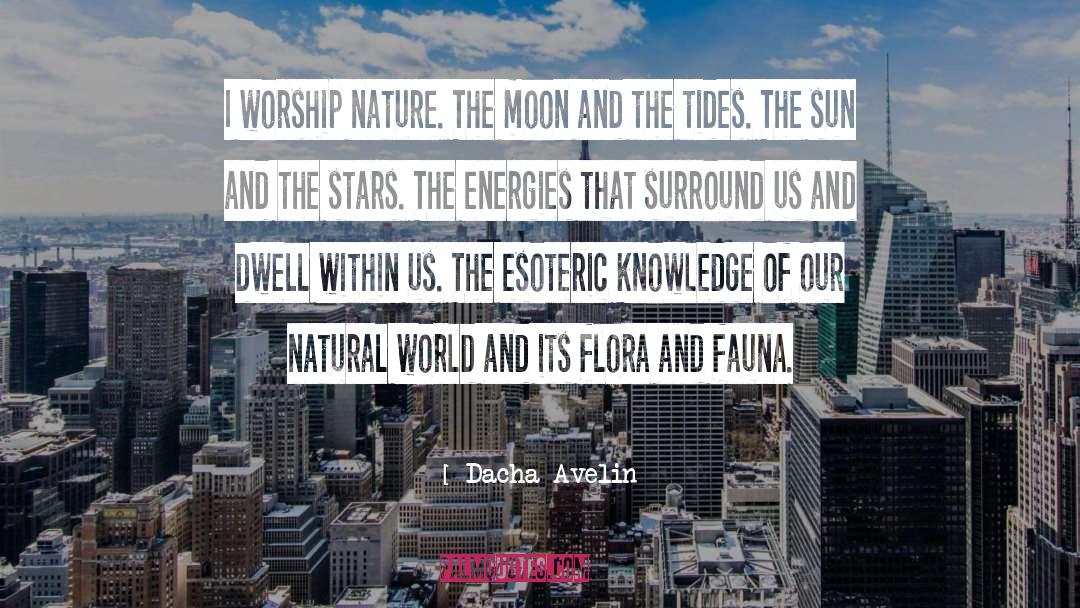 Fauna quotes by Dacha Avelin