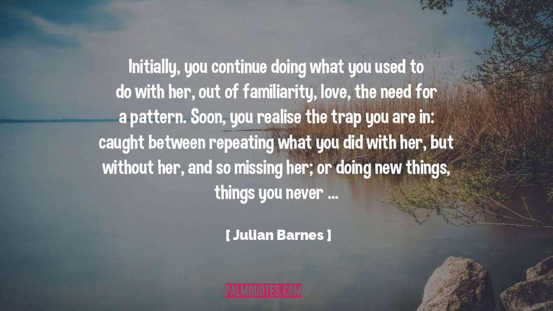 Faux quotes by Julian Barnes