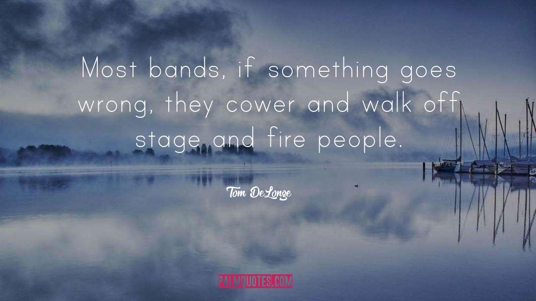 Favorite Bands quotes by Tom DeLonge