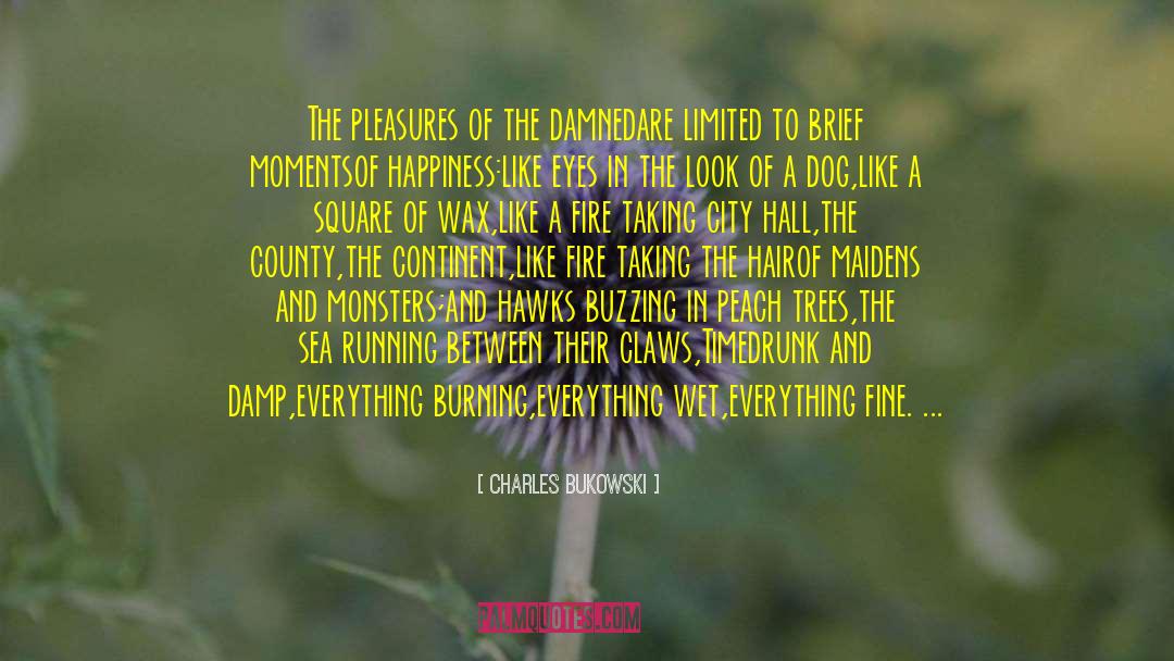 Favorite City quotes by Charles Bukowski