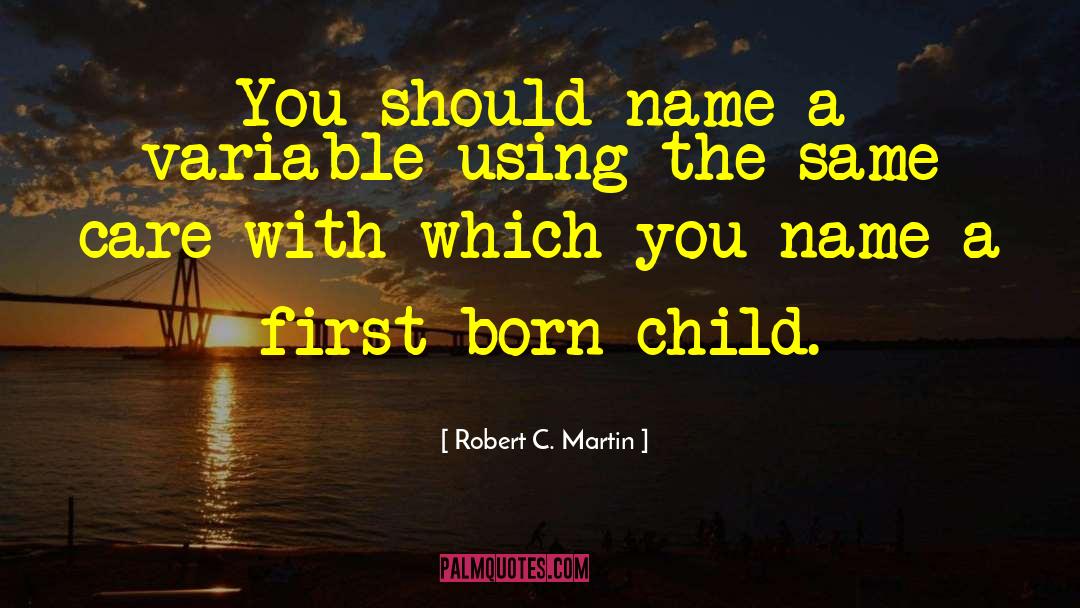 Favourite Child quotes by Robert C. Martin