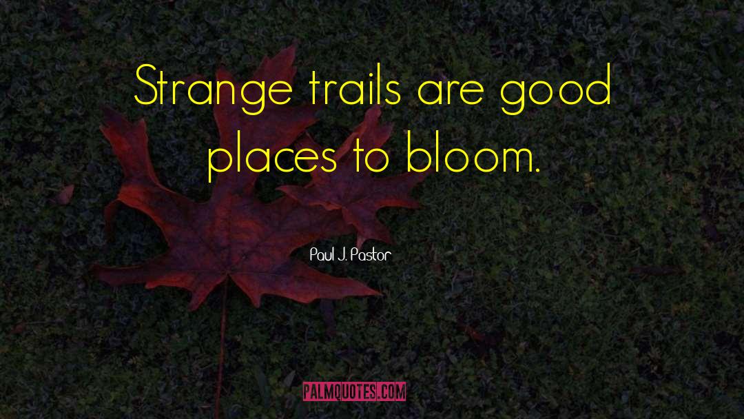 Favourite Places quotes by Paul J. Pastor