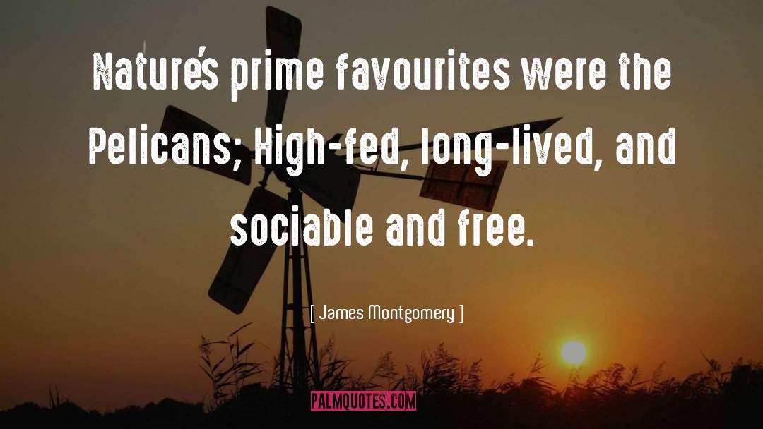 Favourites quotes by James Montgomery