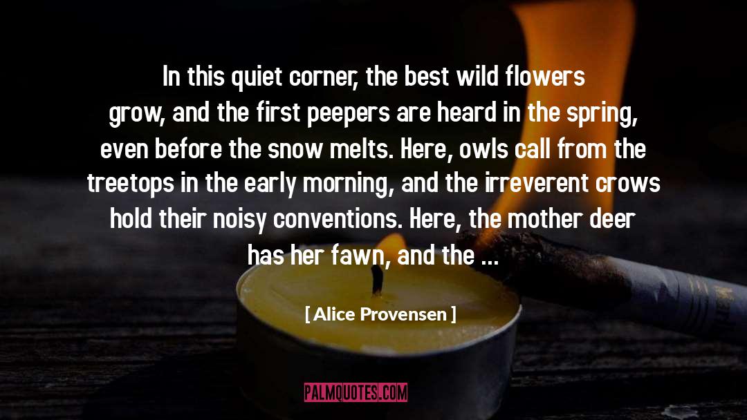 Fawn quotes by Alice Provensen
