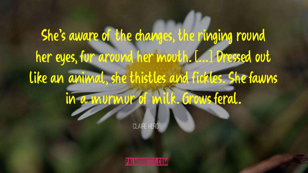 Fawns quotes by Claire Hero
