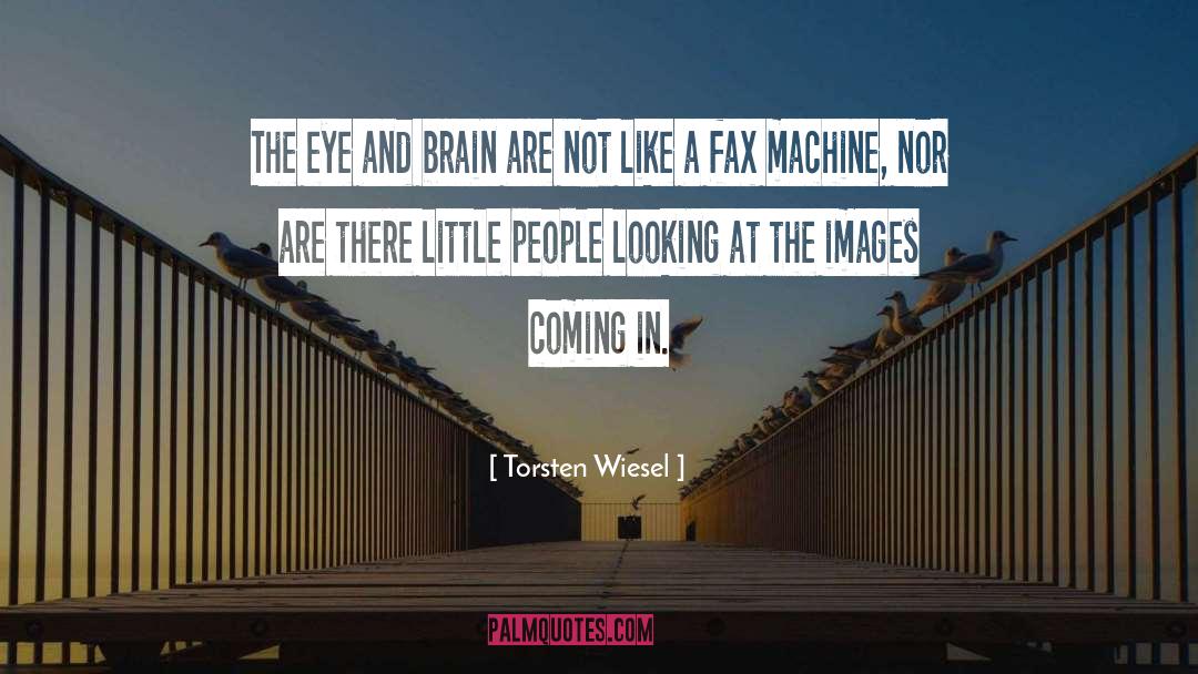 Fax Machines quotes by Torsten Wiesel