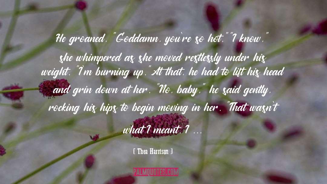 Fbi Romance quotes by Thea Harrison