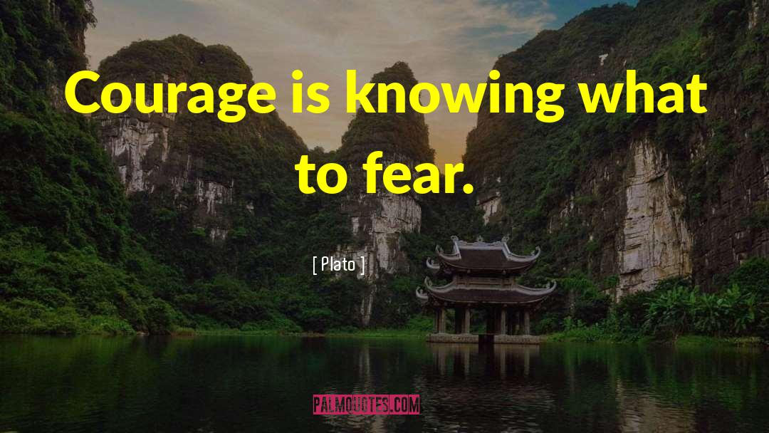 Fear Courage quotes by Plato