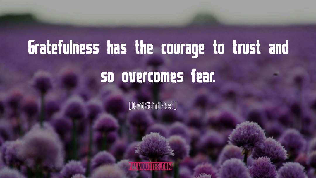 Fear Courage quotes by David Steindl-Rast