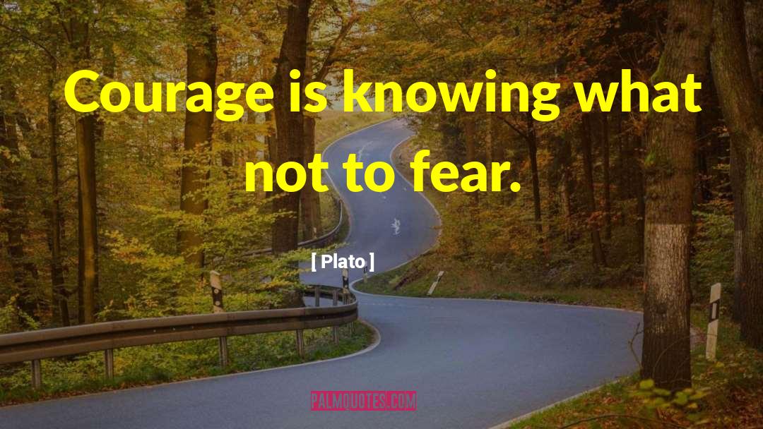 Fear Courage quotes by Plato