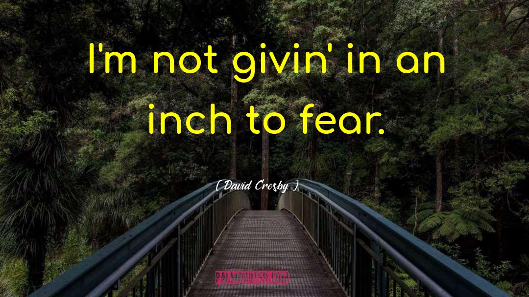 Fear Courage quotes by David Crosby