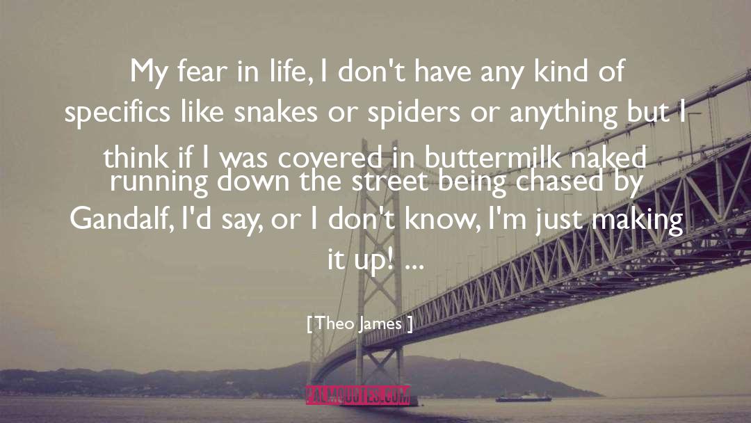 Fear In Life quotes by Theo James