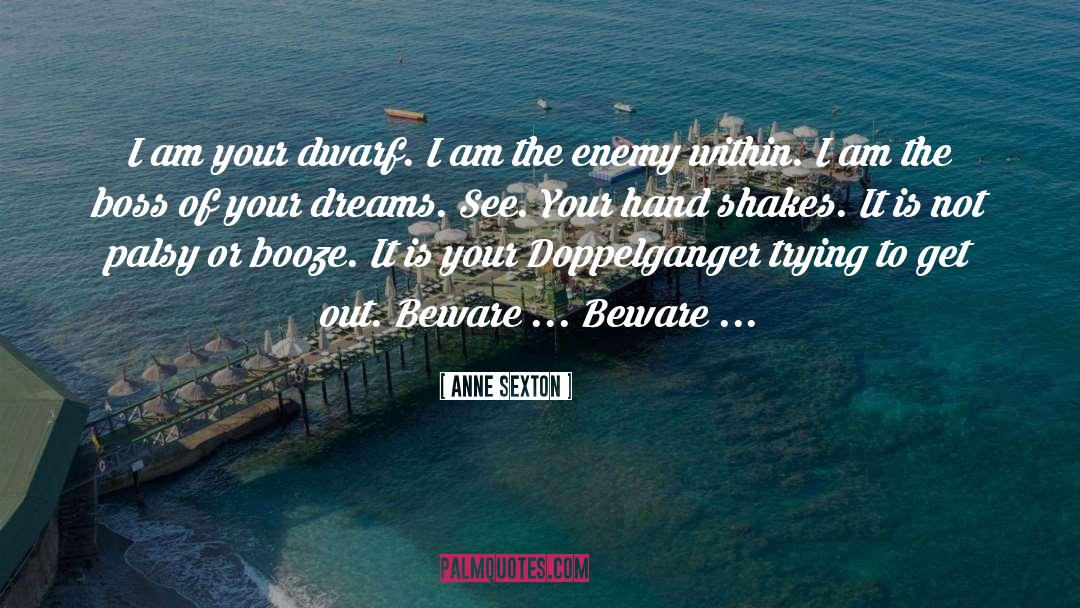 Fear Is Your Enemy quotes by Anne Sexton