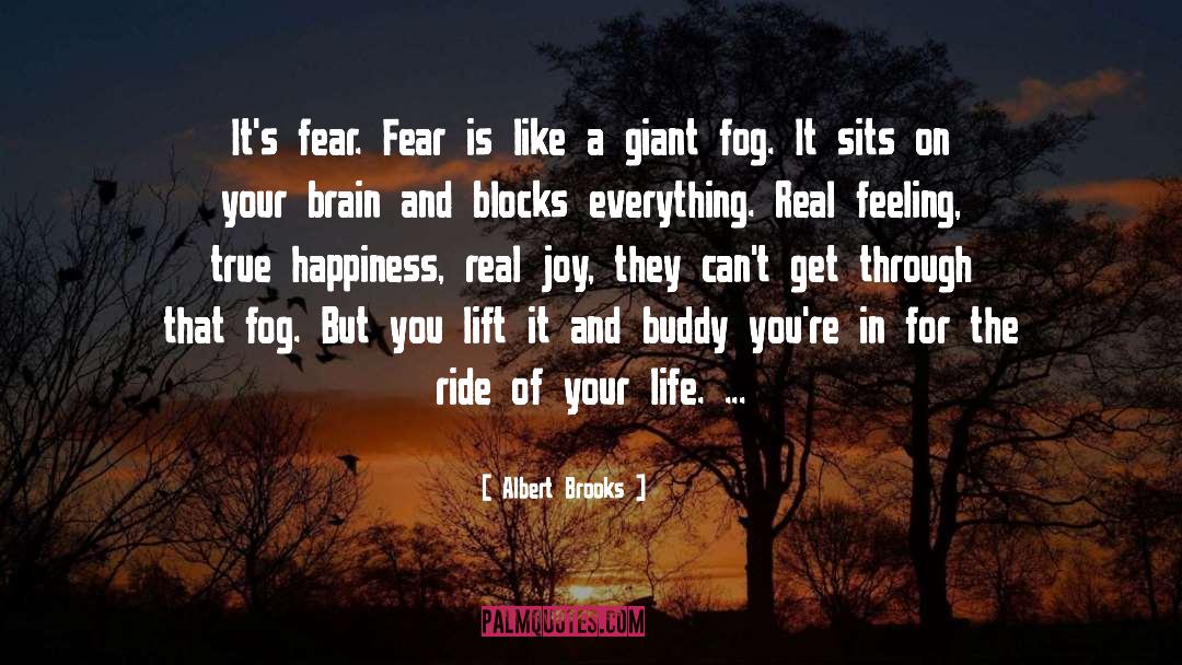 Fear Is Your Enemy quotes by Albert Brooks