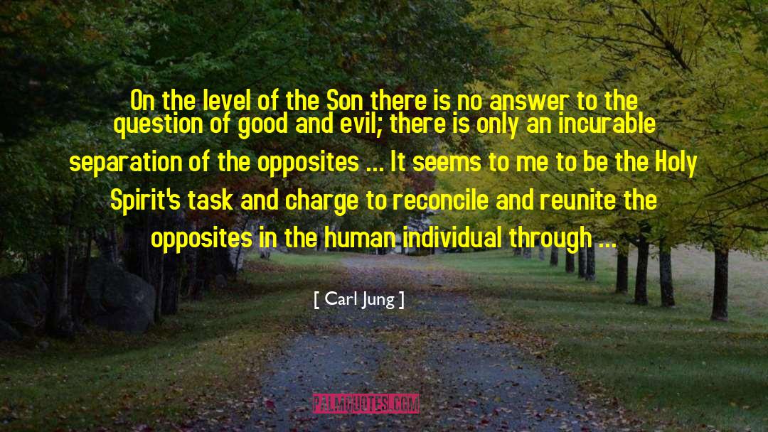 Fear No Evil quotes by Carl Jung