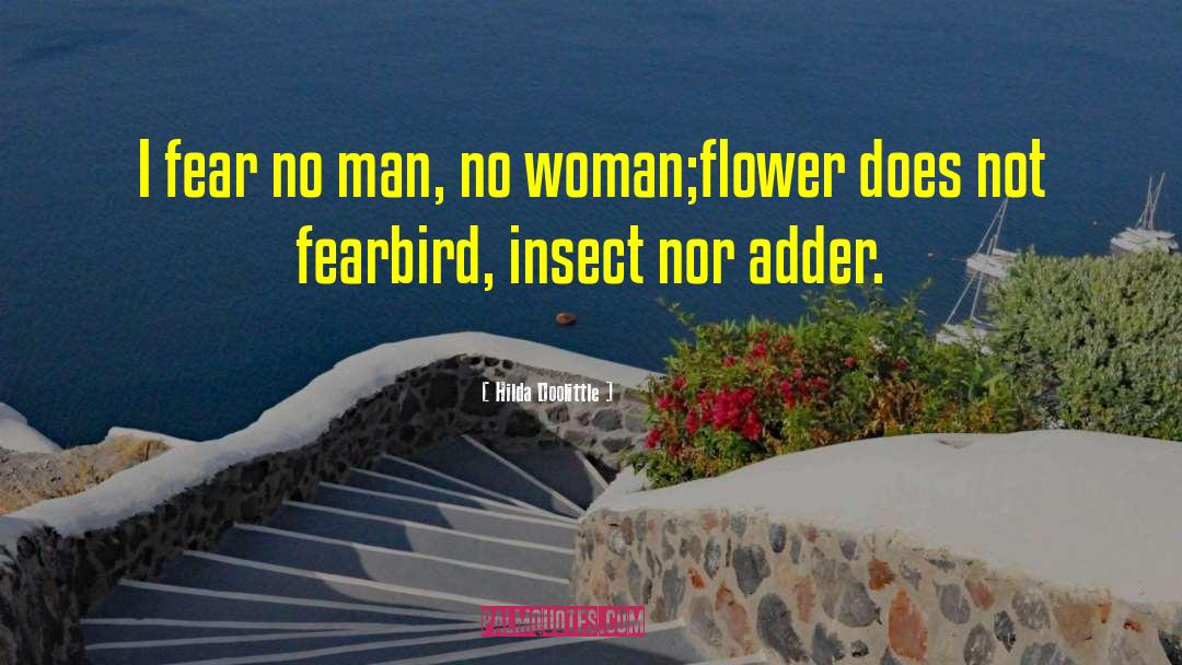 Fear No Man quotes by Hilda Doolittle