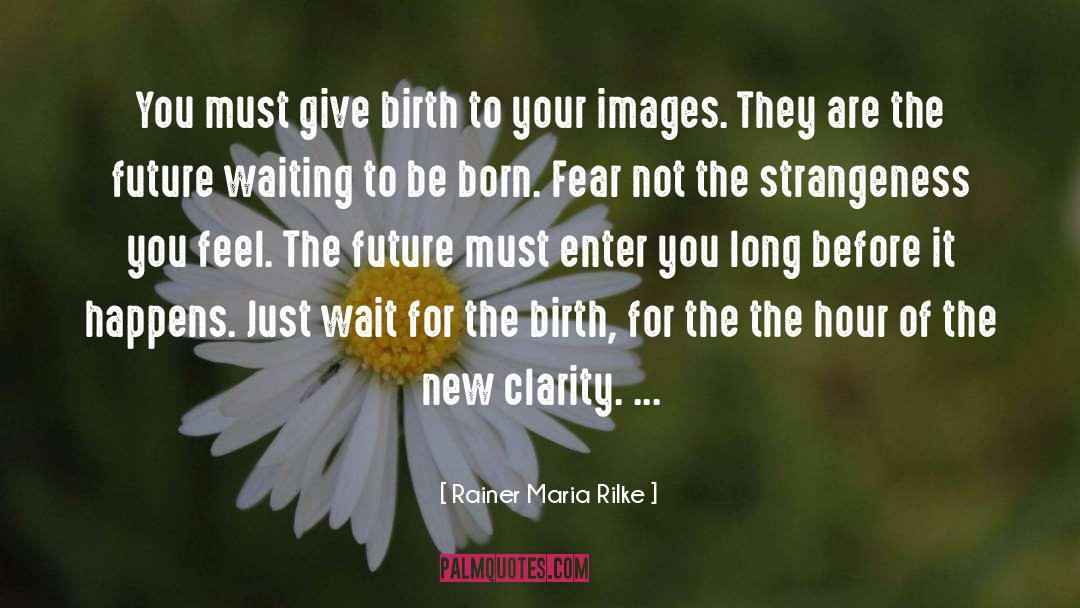 Fear Not quotes by Rainer Maria Rilke