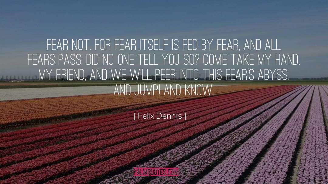 Fear Not quotes by Felix Dennis