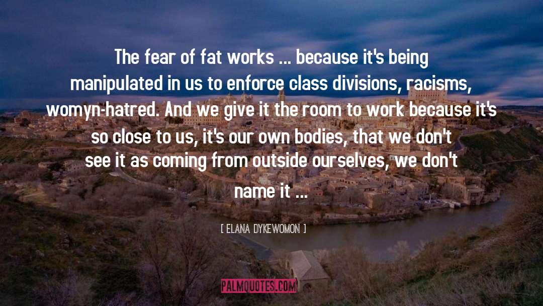 Fear Nothng quotes by Elana Dykewomon