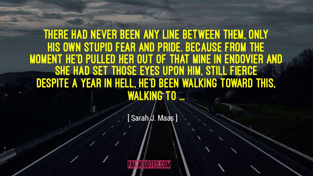 Fear Of Bulls quotes by Sarah J. Maas