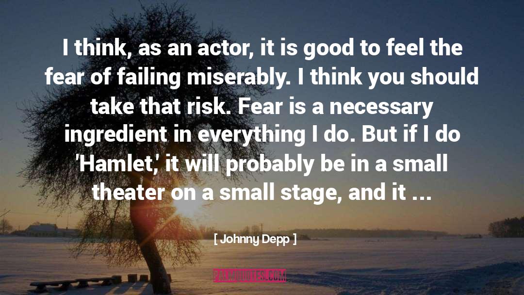 Fear Of Failing quotes by Johnny Depp