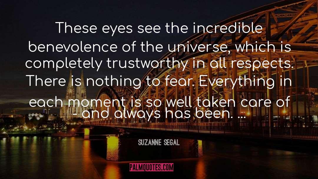 Fear Of Flying quotes by Suzanne Segal