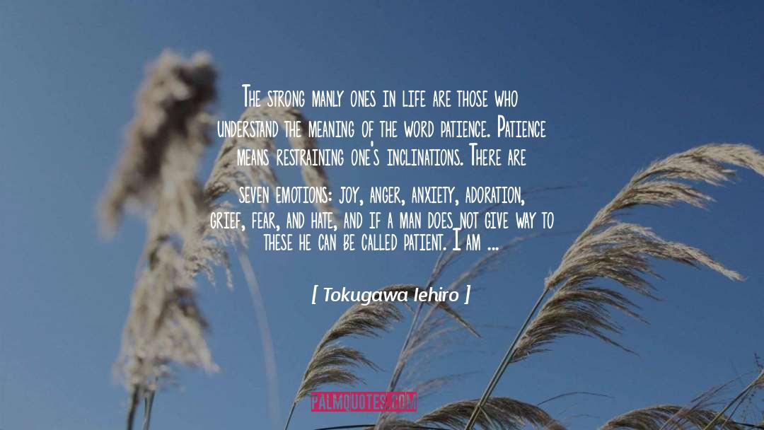 Fear Of Flying quotes by Tokugawa Iehiro