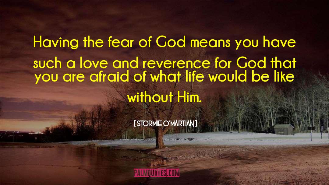 Fear Of God quotes by Stormie O'martian