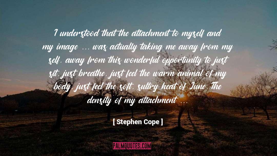 Fear Of The Future quotes by Stephen Cope