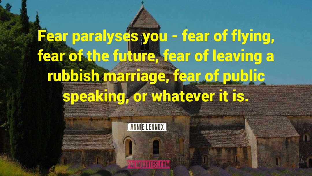 Fear Of The Future quotes by Annie Lennox