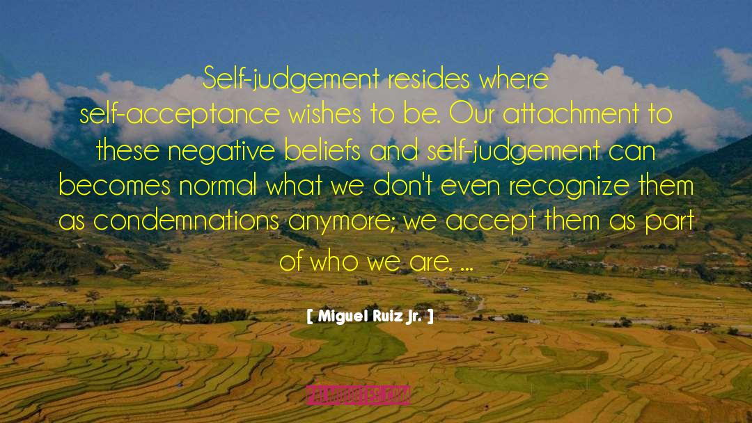 Fear Similarities And Acceptance quotes by Miguel Ruiz Jr.