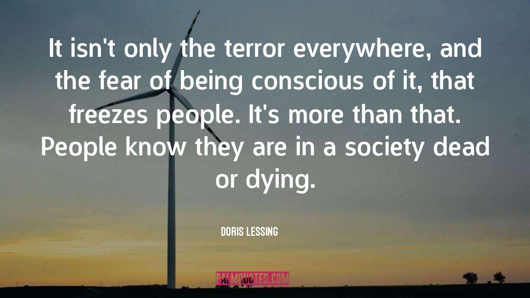 Fear Stagnation quotes by Doris Lessing