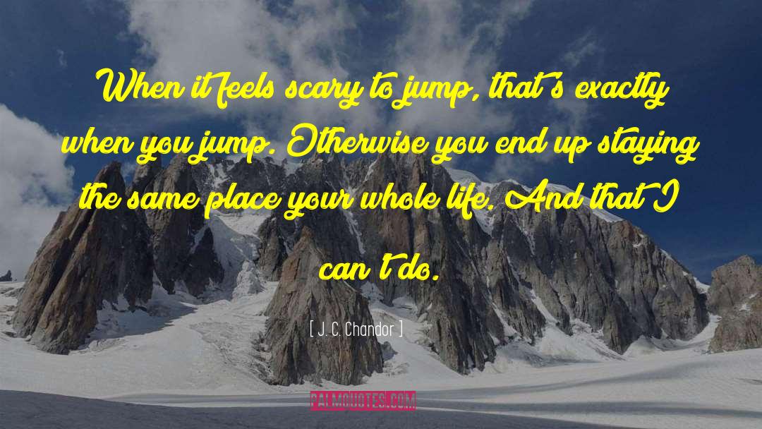 Fear Staying The Same quotes by J. C. Chandor