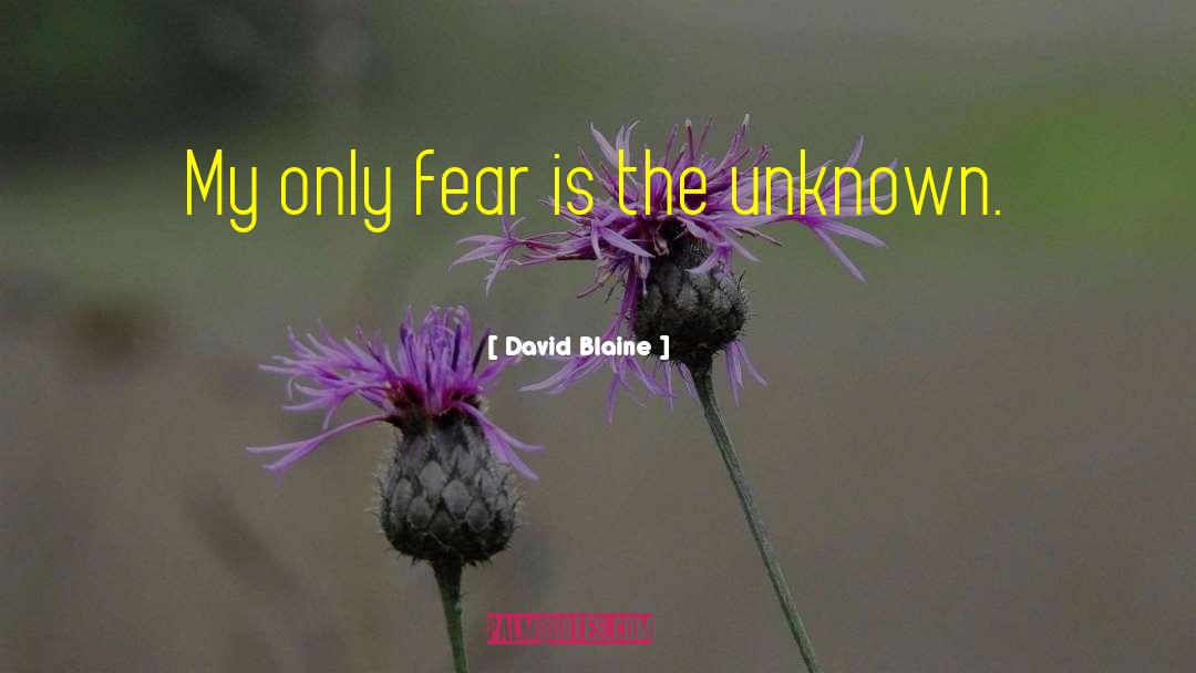 Fear Unknown quotes by David Blaine