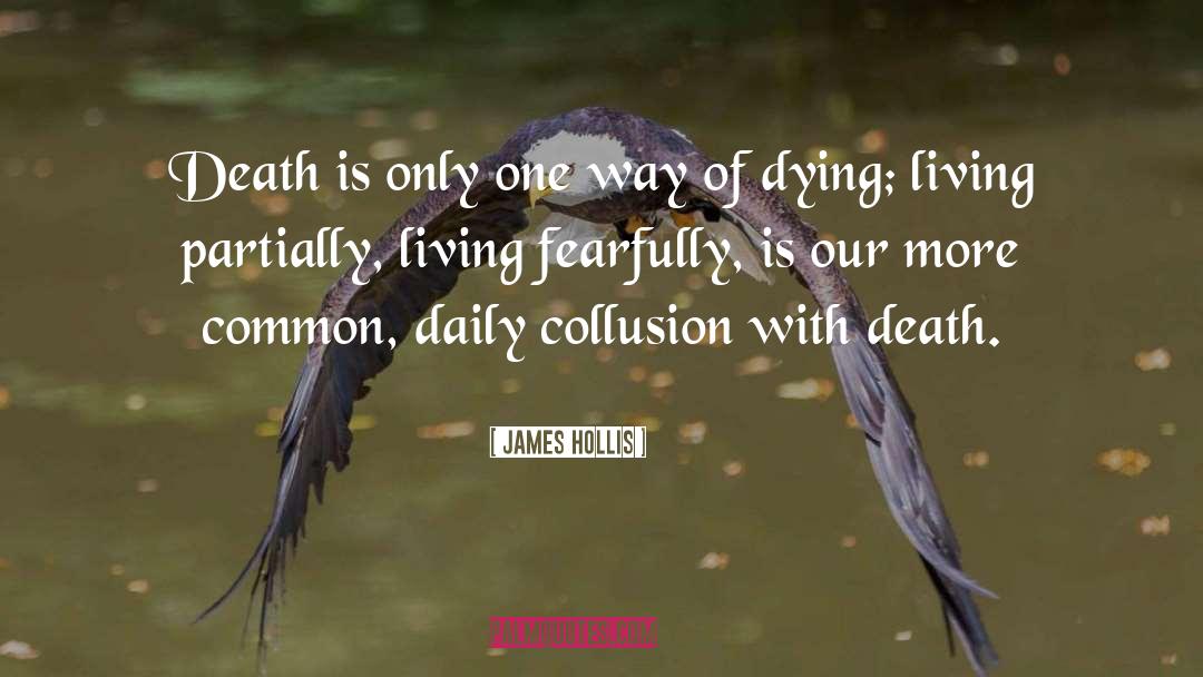 Fearfully quotes by James Hollis