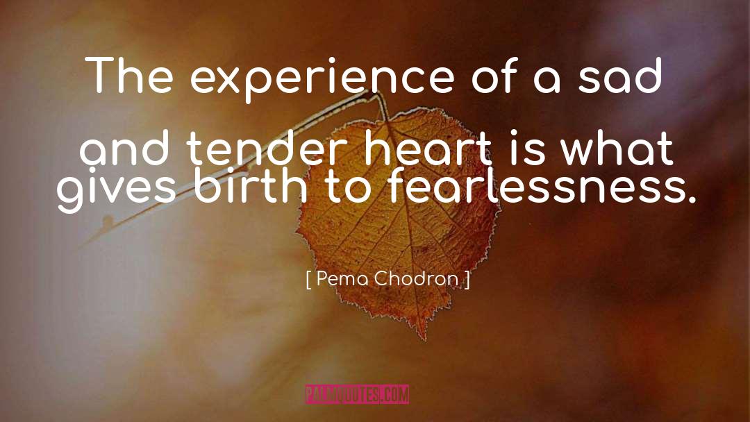 Fearlessness quotes by Pema Chodron