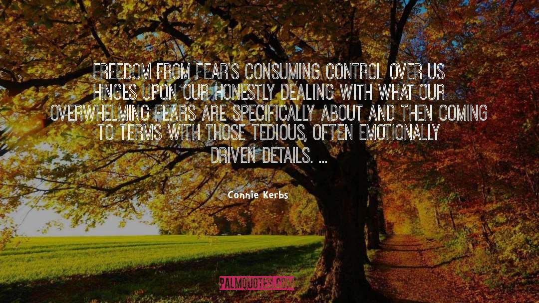 Fears And Insecurity quotes by Connie Kerbs