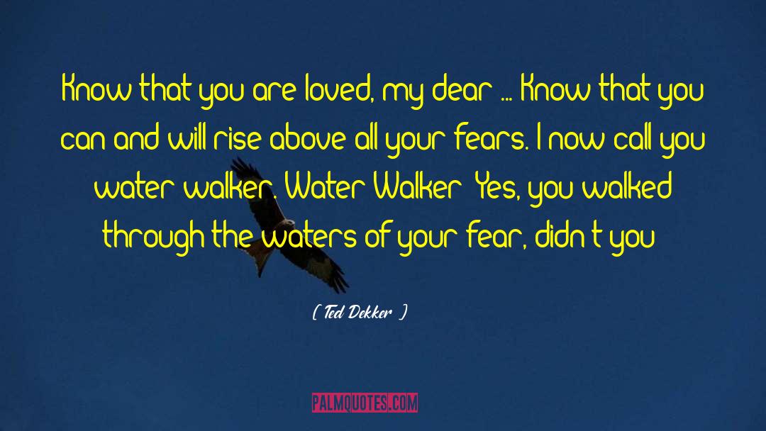 Fears And Insecurity quotes by Ted Dekker