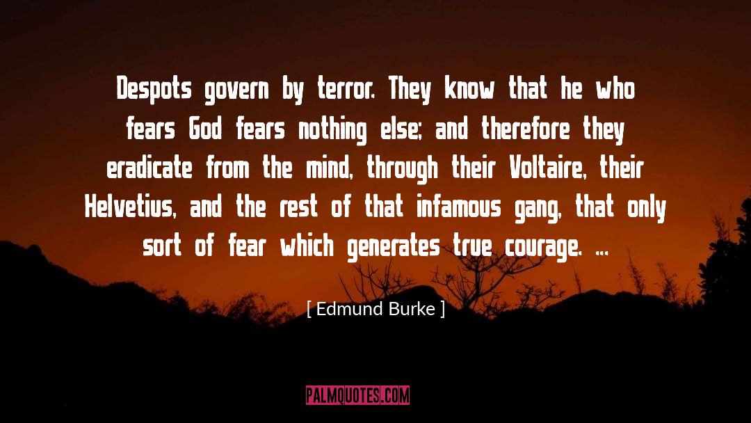 Fears Courage Battle quotes by Edmund Burke